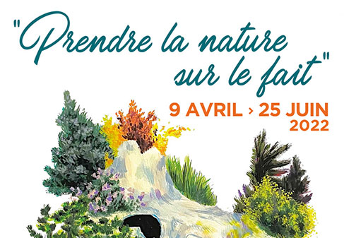 « Prendre la nature sur le fait, hommage à Michel Darluc »